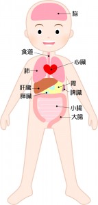 からだ