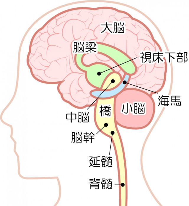 眼精疲労